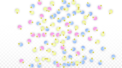 Vector Realistic Colorful Petals Falling on Transparent Background.  Spring Romantic Flowers Illustration. Flying Petals. Sakura Spa Design. Blossom Confetti. Design Elements for Wedding Decoration.