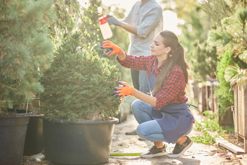 Girl gardener dressed in apron is pruning plants in the beautiful nursery-garden on a sunny day.