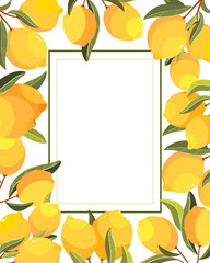Lemon card. Handpainted  vector lemon illustration. Use for postcard, print, invitations, packaging etc. - 242259298