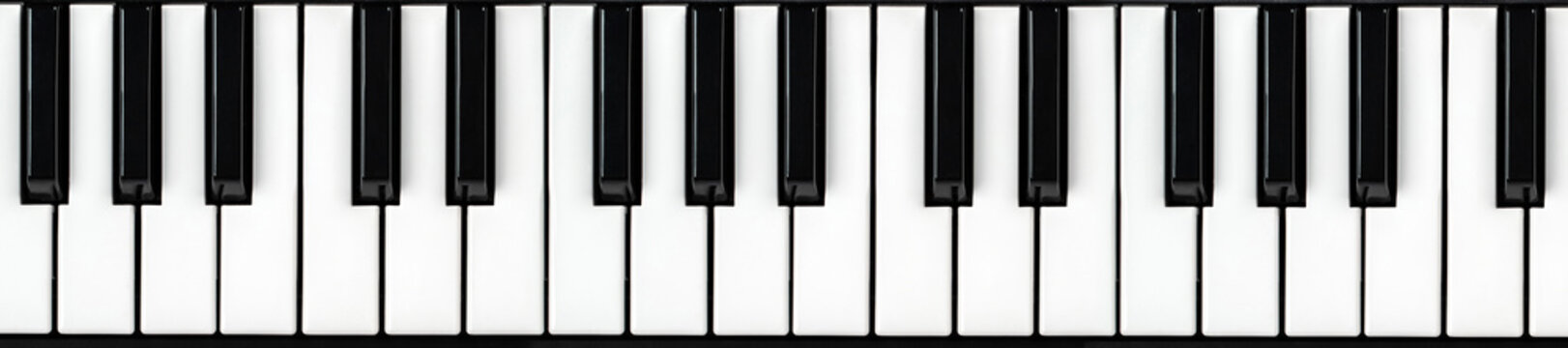 Synthesizer keyboard. Piano key