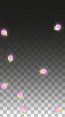 Vector Realistic Pink Petals Falling on Transparent Background.  Spring Romantic Flowers Illustration. Flying Petals. Sakura Spa Design. Blossom Confetti.