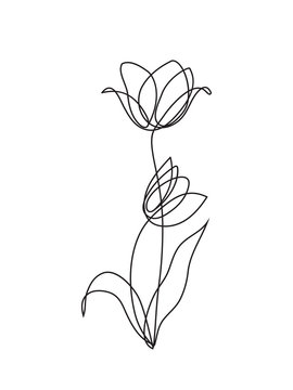 black line art tulip flower