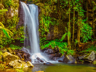 Obraz premium waterfall in the forest