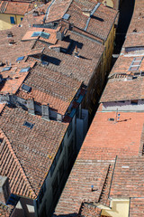 Toits de Lucca
