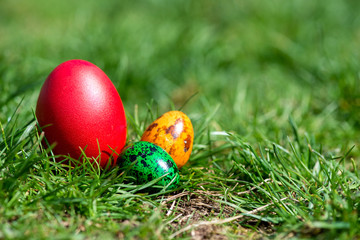 Easter background with colorful eggs over fresh green grass - copy space