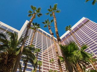 Fototapeta na wymiar Bottom view to palms and hotel building against blue sky.