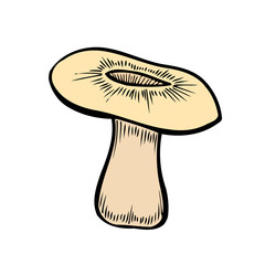 Hand drawn mushroom