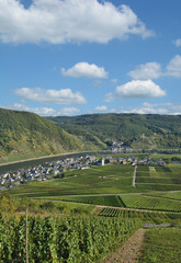 Weinorte Beilstein und Ellenz-Poltersdorf an der Mosel,Rheinland-Pfalz,Deutschland