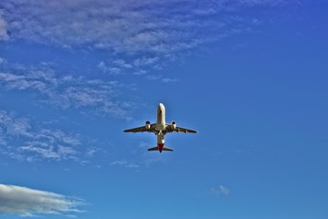Flight