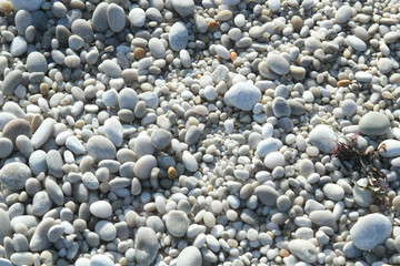 white seaside pebbles