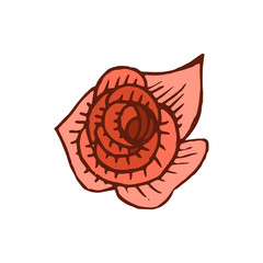 Rose icon in hand drawn style