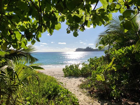 Way to paradise