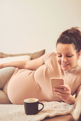 Obraz na płótnie Canvas Pregnant woman using cellphone while sitting on sofa at home.
