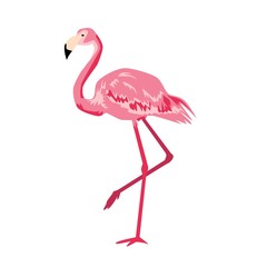 pink flamingo vector. 