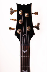 The head of the vulture of guitars. Isolated on white