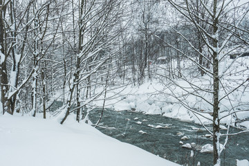 Verschneite Winterlandschaft mit Bach und Bäumen