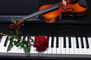 Keyboard piano, violin and red rose.  © yrafoto
