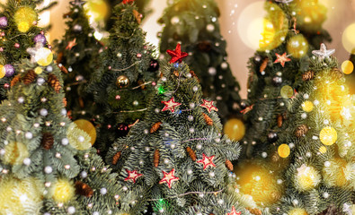 Obraz na płótnie Canvas Christmas trees and Christmas decorations.