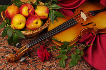 Nectarines in a basket, violin, red rose and drapery