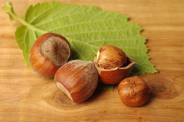 Hazelnut with hazelnut leaf