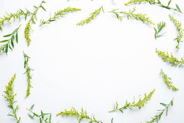 Fresh flowers and plants poster background material