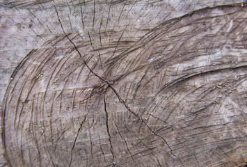 Fototapeta premium brown timber wood log texture background wallpaper backdrop