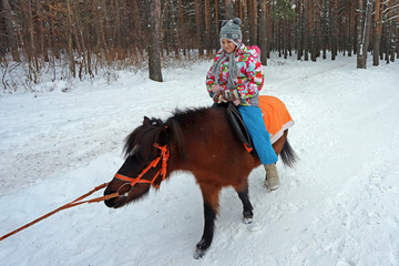 little cute girl riding a little horse in the winter in the forest park,  girl on a pony riding in...