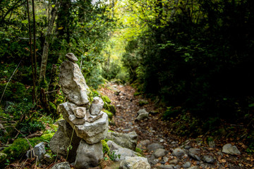 Camino entre el bosque entrando el otoño
