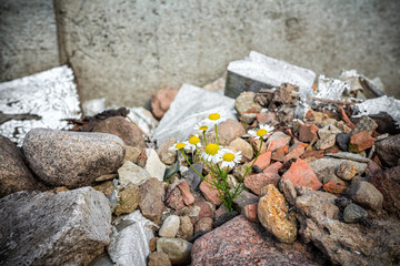 Spilled garbage  the big city. Empty used dirty plastic bottles. Environmental pollution. Ecological problem. Bokeh moving waves in the background
