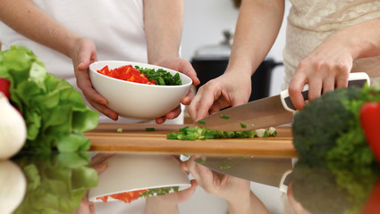 Closeup of human hands cooking in kitchen. Mother and daughter or two female friends cutting vegetables for fresh salad. Friendship, family dinner and lifestyle concepts