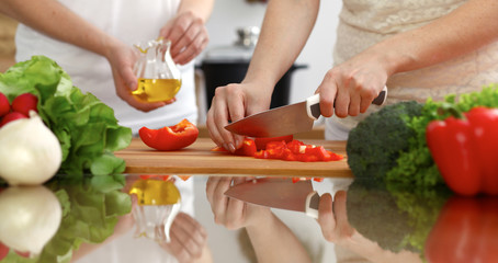 Obraz na płótnie Canvas Closeup of human hands cooking in kitchen. Mother and daughter or two female friends cutting vegetables for fresh salad. Friendship, family dinner and lifestyle concepts