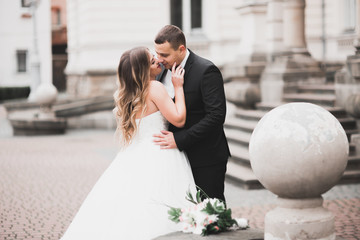 Fototapeta premium Lovely happy wedding couple, bride with long white dress