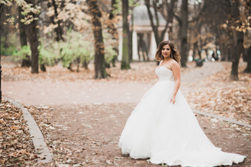 Fototapeta premium Beautiful bride posing in wedding dress outdoors