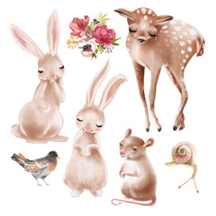 Set of cute forest, woodland baby animals - deer, bunny, bird, snail, mouse and floral arrangement, bouquet, flowers composition