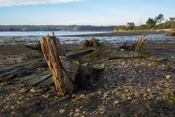 carcasses de vieux bateaux abandonnés, épaves