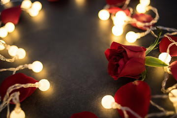 Red rose petals in the light / dreamy romantic Valentine's Day background material