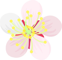 可愛い梅の花のイラスト
