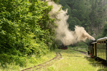 July 4, 2018 - Mocanita Steam Train in Vaser Valley, Bucovina, Romania