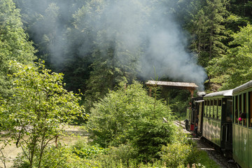 Fototapeta na wymiar July 4, 2018 - Mocanita Steam Train in Vaser Valley, Bucovina, Romania