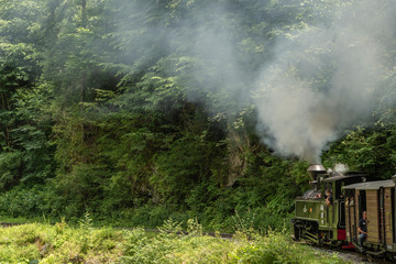 Fototapeta na wymiar July 4, 2018 - Mocanita Steam Train in Vaser Valley, Bucovina, Romania