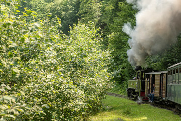 Fototapeta premium July 4, 2018 - Mocanita Steam Train in Vaser Valley, Bucovina, Romania