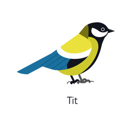 Great tit isolated on white background © Good Studio