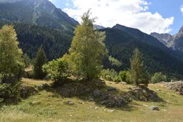 Aigüestortes