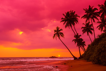 Tropical sunset palm trees silhouettes on beach landscape