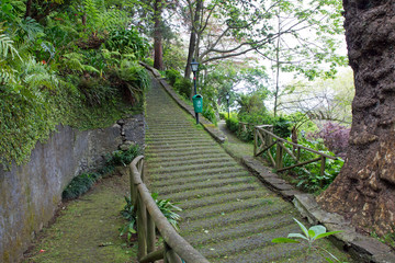 Obraz premium Madeira, Funchal, Ortsteil Monte, Stufen zur Igrja do Monte