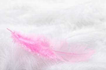Pink feather on a background of white feathers. Soft focus, texture