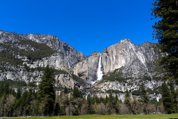 Yosemite Falls - 242282874