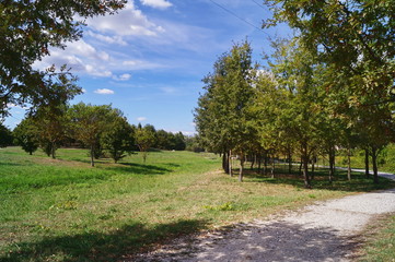 Serravalle park, Empoli, Tuscany, Italy