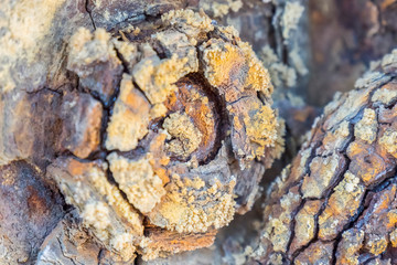 Remains of the old mines of Riotinto in Huelva (Spain)