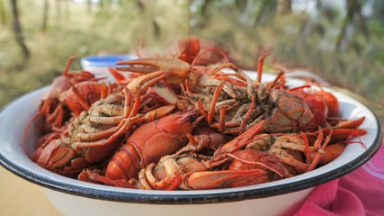 tailed boiled crayfish